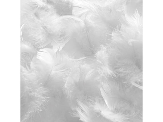 Vertchez LITERIE - Lot de 4 oreillers 60x60 cm Vertchez - Couette / Plumes