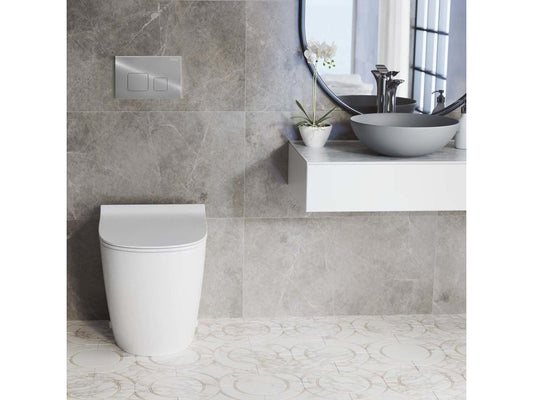 Bati Support Wc Avec Plaque De Commande Type F Vertchez